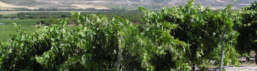 NATURALEZA